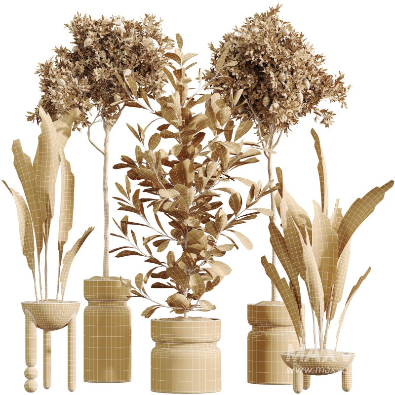 AV Indoor Plants Set 287 Lemon Ficus Laurel Aspidistra Cast iron - Image 6