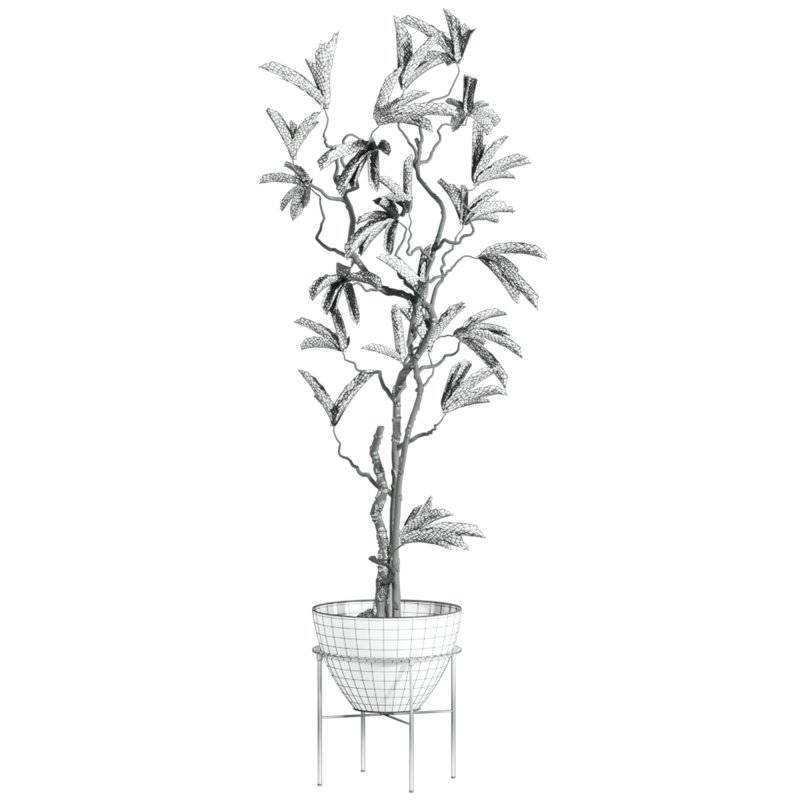 potted plant - Image 5