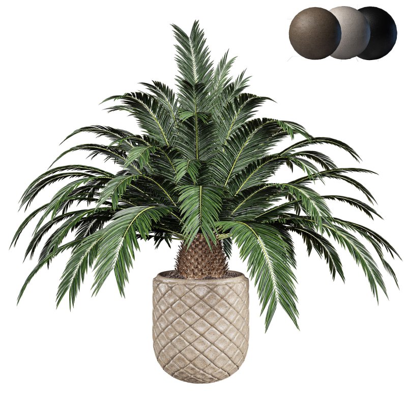 Indoor plant set 02 - Image 2