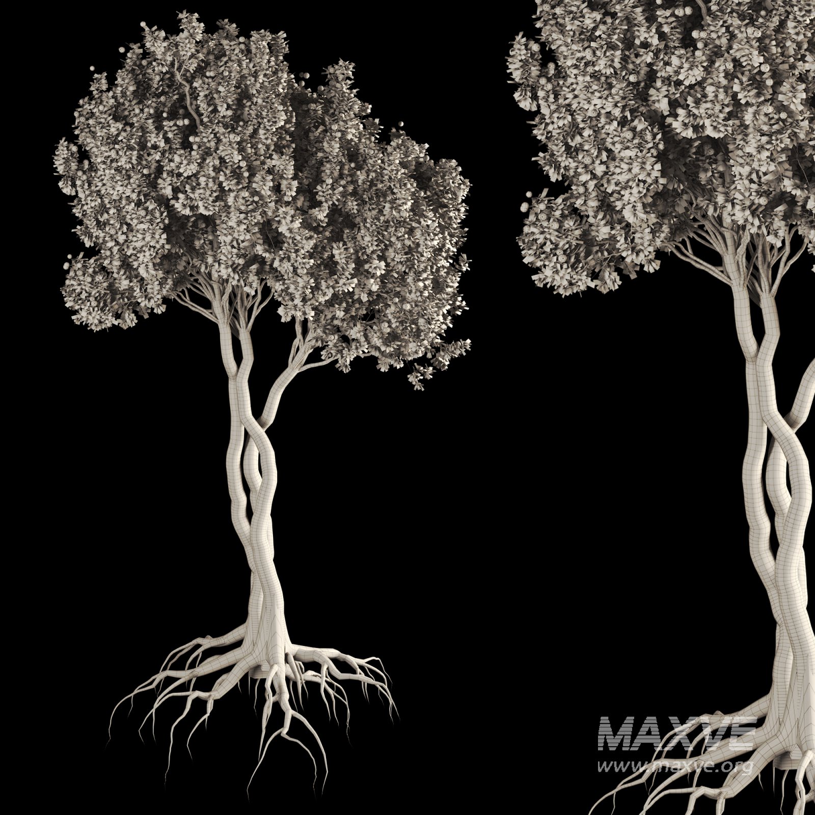 Jungle Fruit Tree and ivy plant 3D model Maxve