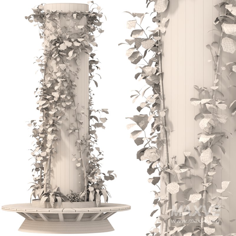 Ivy Column 02 - Image 6