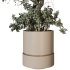 Decorative Indoor Plant and Ivy Branches in Pot - Thumbnail 3