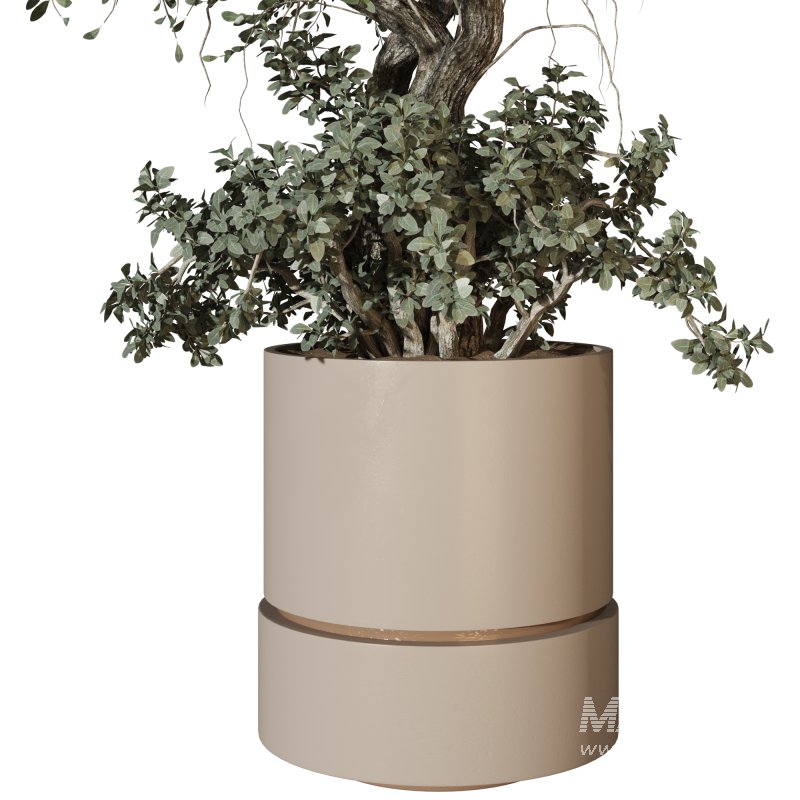 Decorative Indoor Plant and Ivy Branches in Pot - Image 3