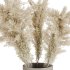 Minimal Pampas Bouquet in Pottery vase - Thumbnail 3