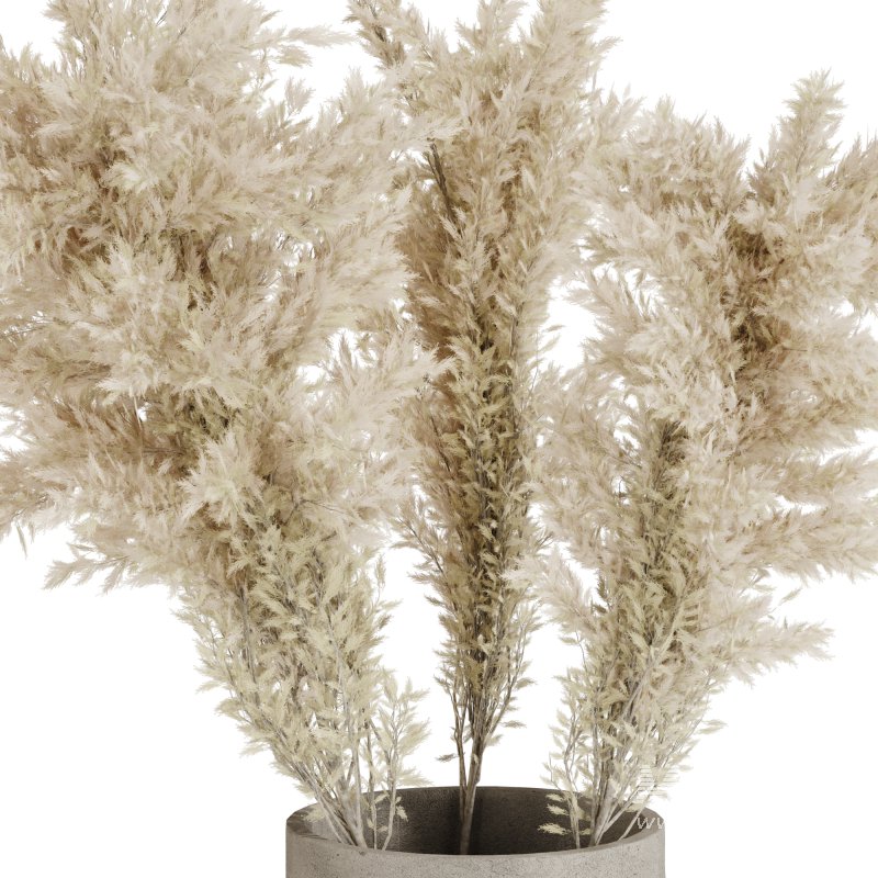 Minimal Pampas Bouquet in Pottery vase - Image 3