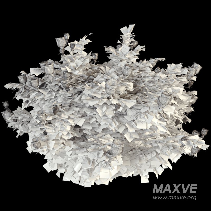 Rose Plant Set 015 - Image 5