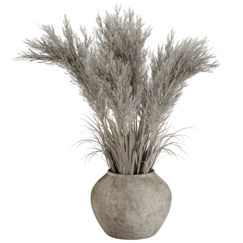 Minimal Pampas Bouquet in Pottery Vase 02 - Image 2