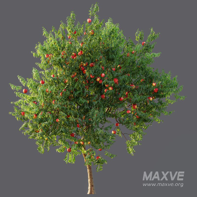 ntal uses. - Image 7