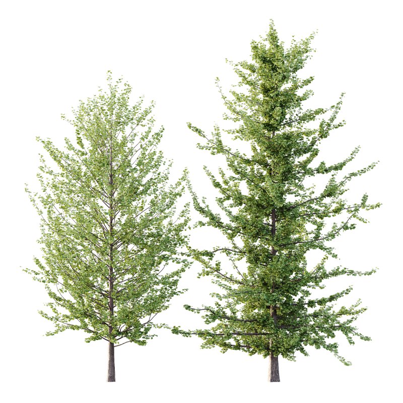 Different Trees 31 - Image 3