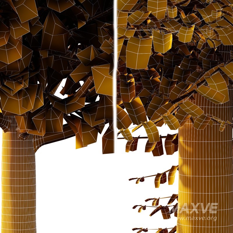 Different Trees 37 - Image 4