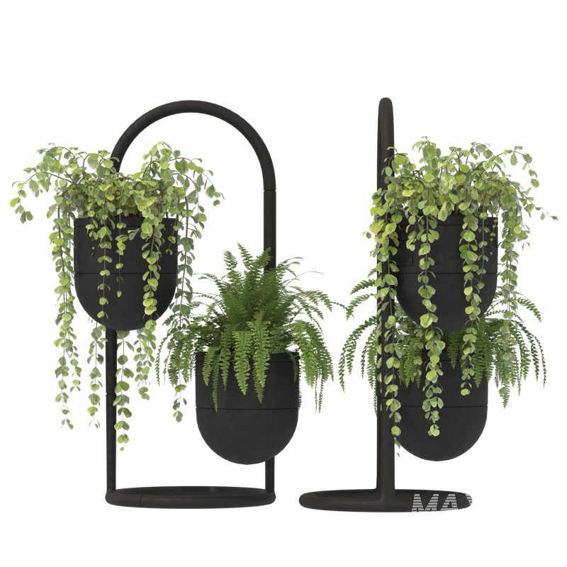 Metal Plant Set 01 - Image 3