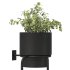 Metal Wall Mounted Planter - Thumbnail 4