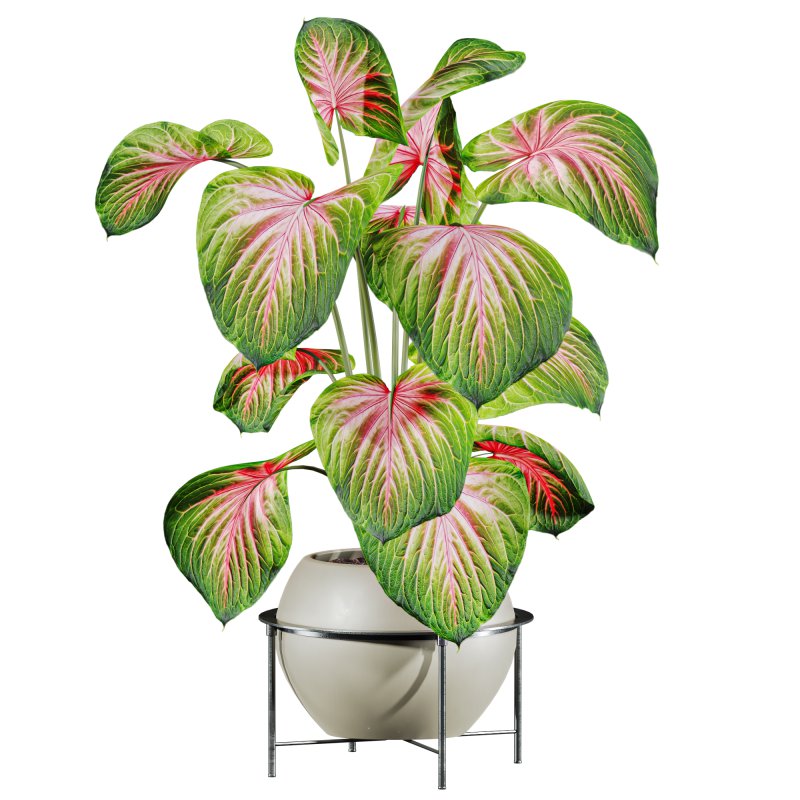 potted plant - Image 2