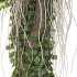 Decorative Indoor Plant and and Ivy Branches in Pot 02 - Thumbnail 5