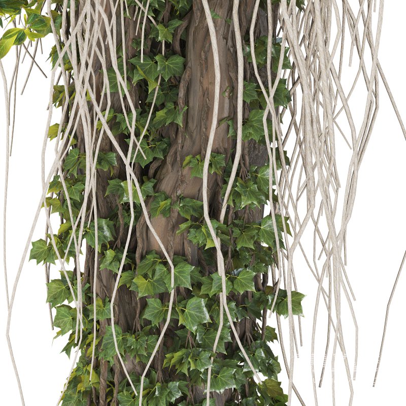 Decorative Indoor Plant and and Ivy Branches in Pot 02 - Image 5