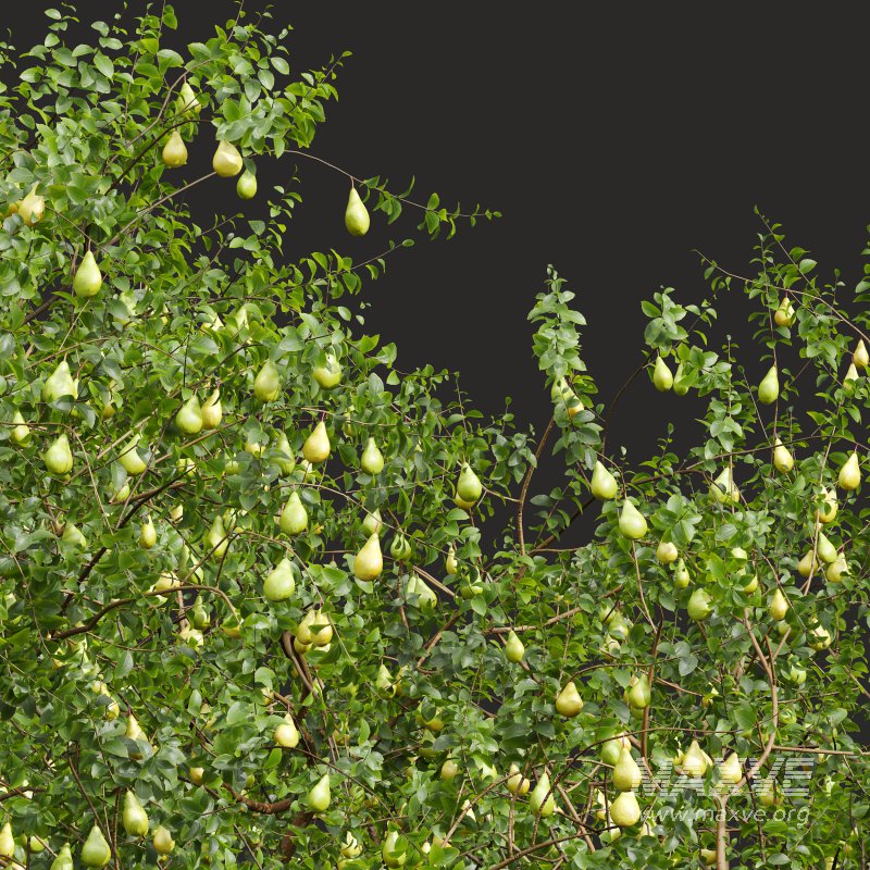 ntal presence. - Image 3