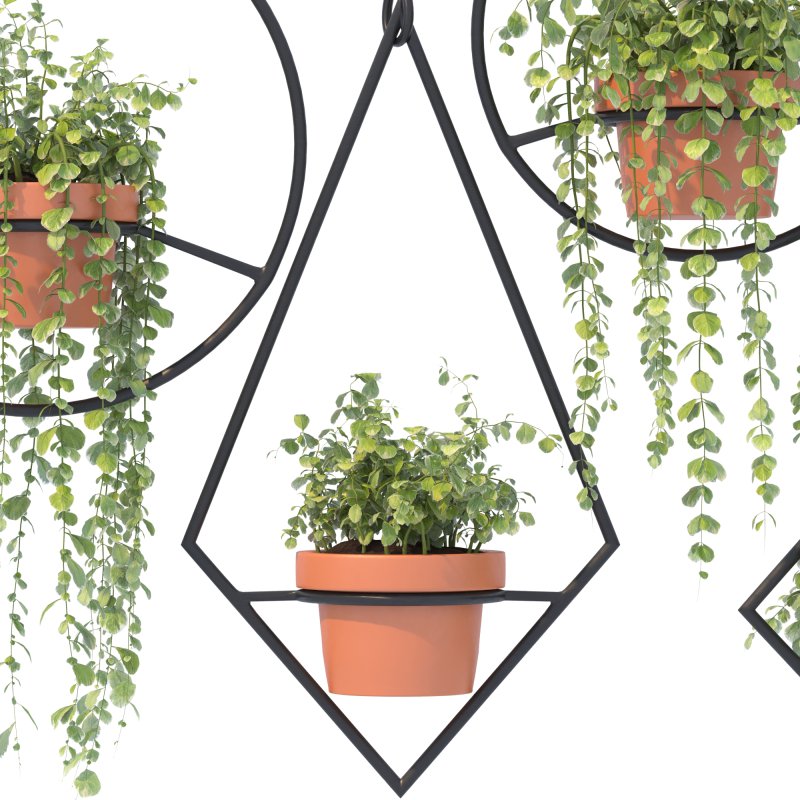 Boho Hanging Plants 03 - Image 6