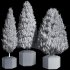 Pine Tree Outdoor Plant Set 07 - Thumbnail 5