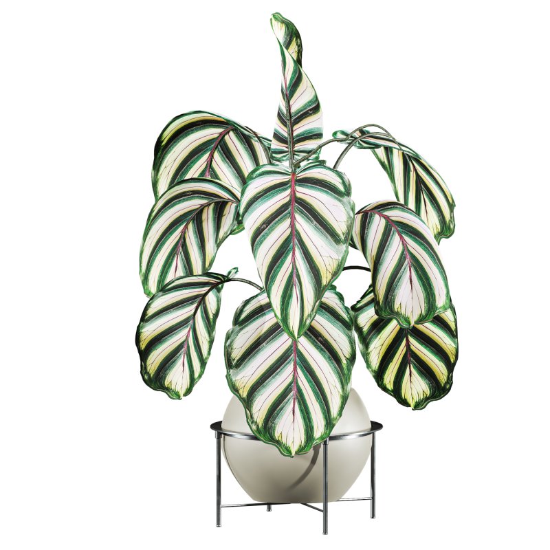 potted plant - Image 1