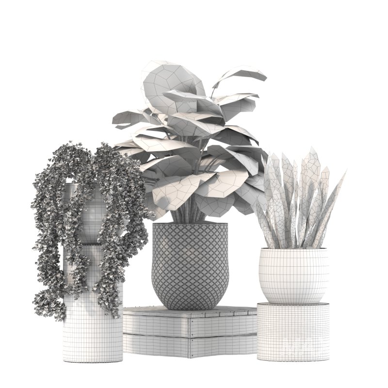 Plant Set 02 - Image 5