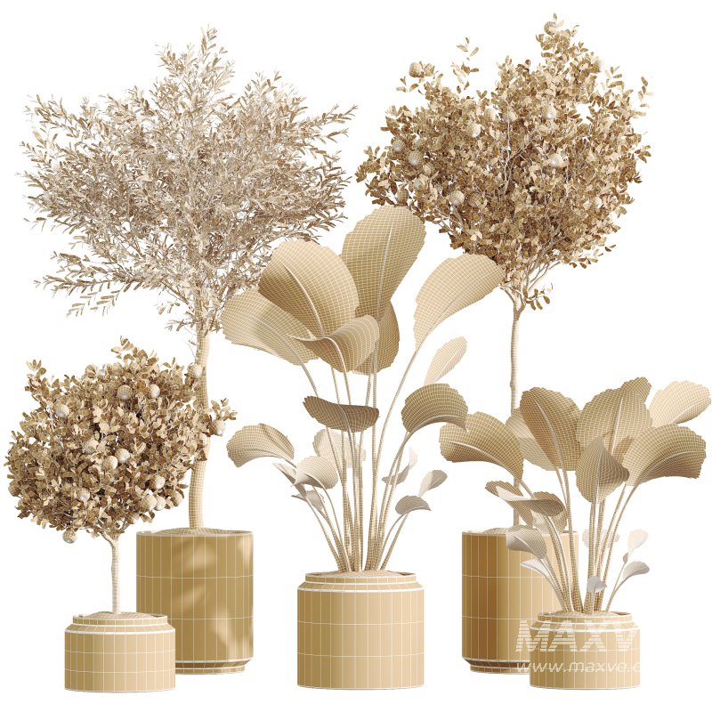 AV Indoor Plants Set 297 Fruit Orange and Banana Strelitzia Nicolai and Olive - Image 6