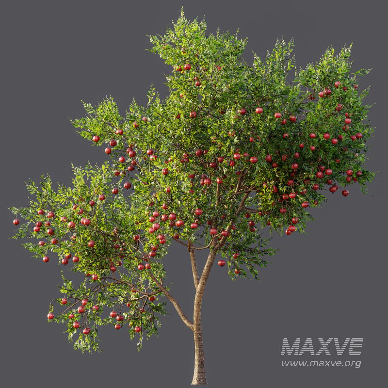 ntal and productive garden designs. - Image 13