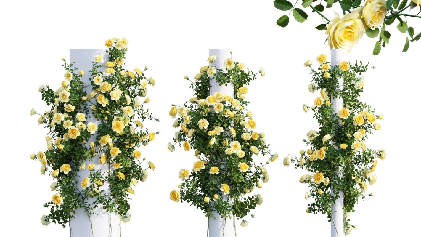 Collection 08 – Rose Garden - Image 17