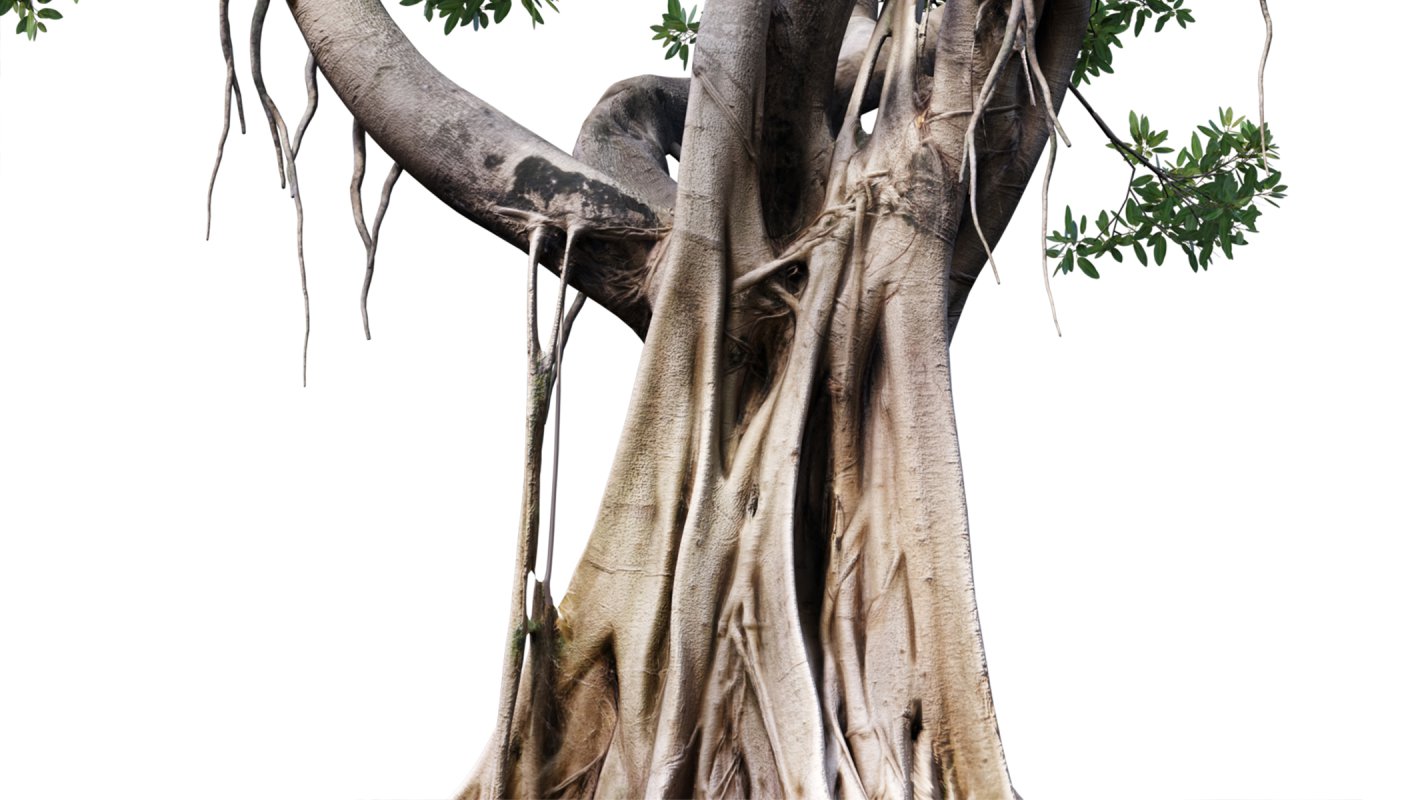 Collection 03 – Park - Image 4