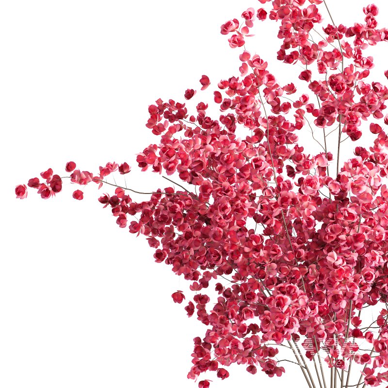 Bouquet indoor flower set - Image 3