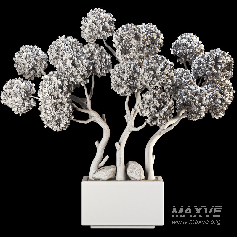 Topiary Pine Tree Set - Image 6