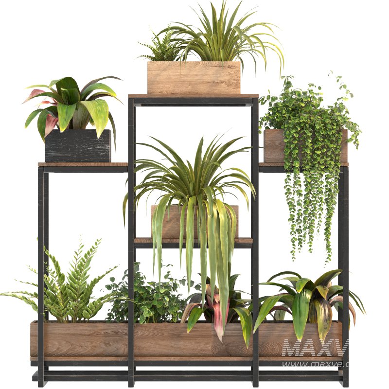 Plant Set 07 - Image 2