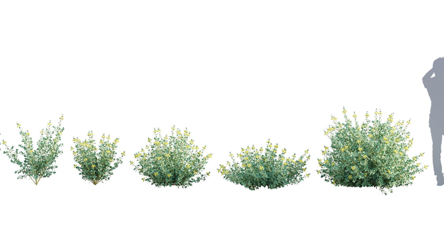 Collection 01 – Mediterrannean Garden (3D Model) - Image 8
