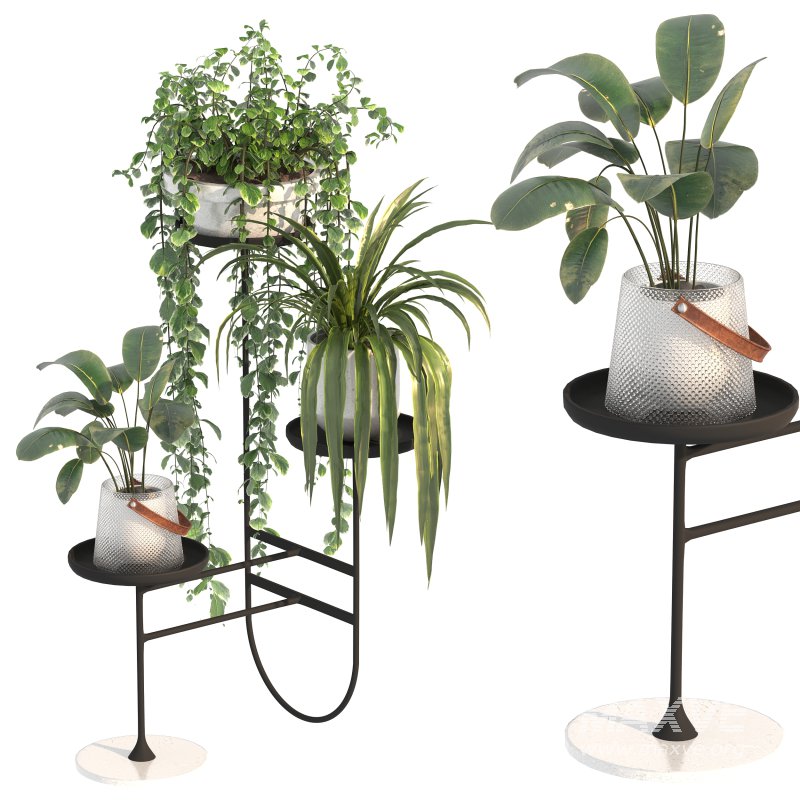 Metal Standing Plant - Image 5