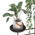 Metal Standing Plant - Thumbnail 7
