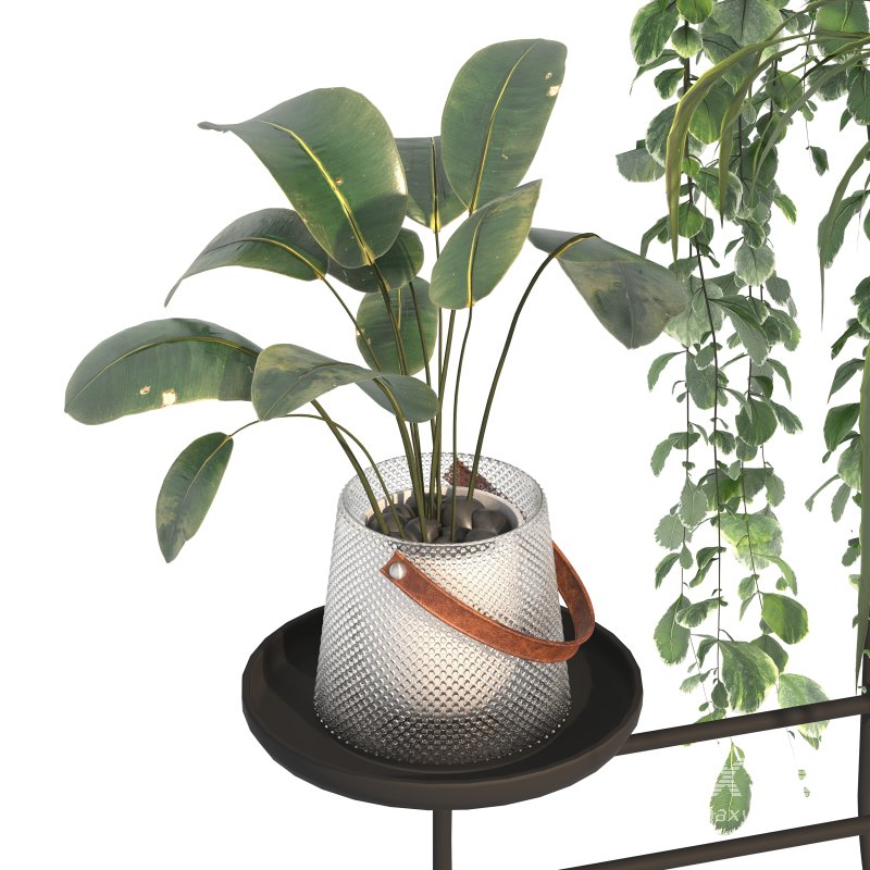 Metal Standing Plant - Image 7