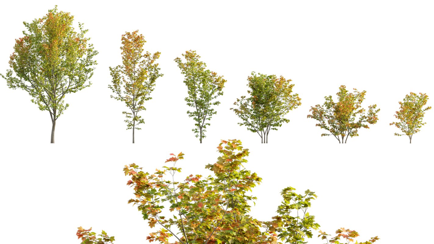 Collection 06 – Japanese Garden - Image 4