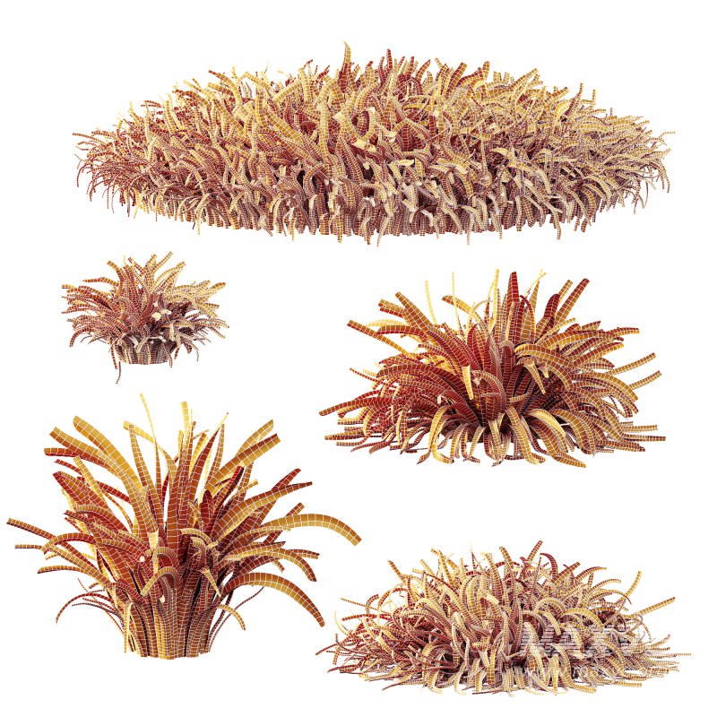 ntal grasses are widely used in landscaping for ground cover, edging, and creating natural textures in gardens. The set offers realistic density and organic variation, making it ideal for exterior design, botanical compositions, and architectural visualizations. With clean topology and 4K textures, these models ensure both high performance and lifelike detail. - Image 9