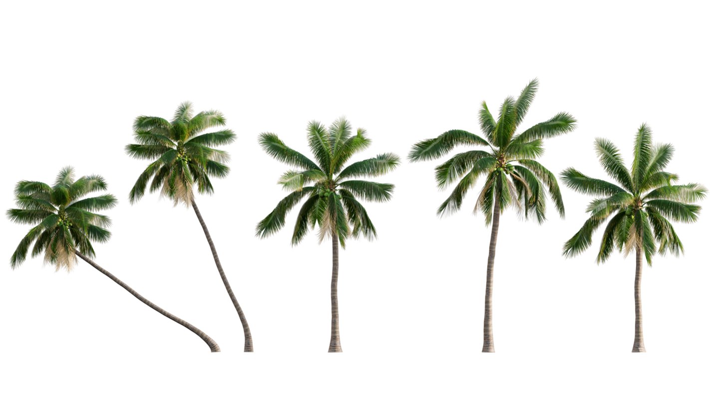 Collection 04 – Tropical Garden - Image 5