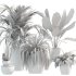 Plant Set 10 - Thumbnail 6