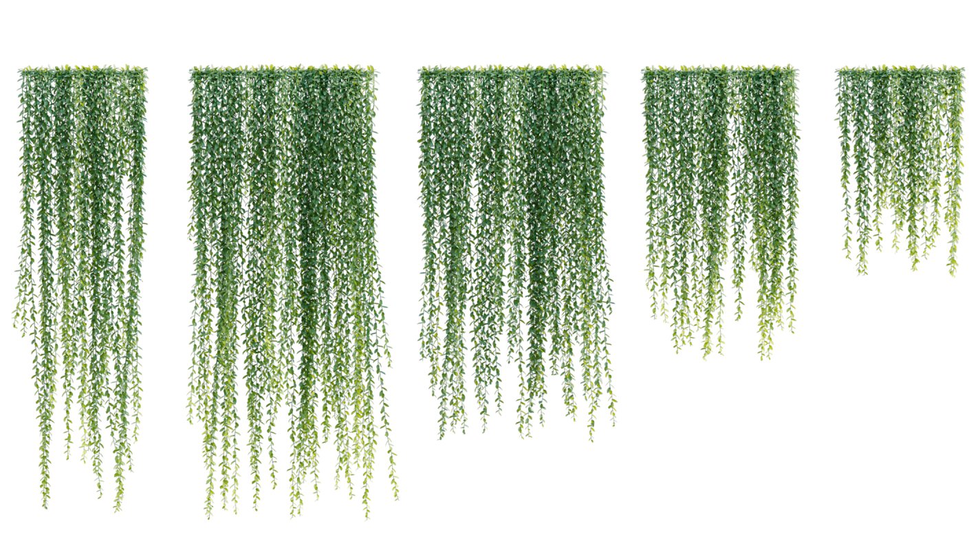 Collection 04 – Tropical Garden - Image 8