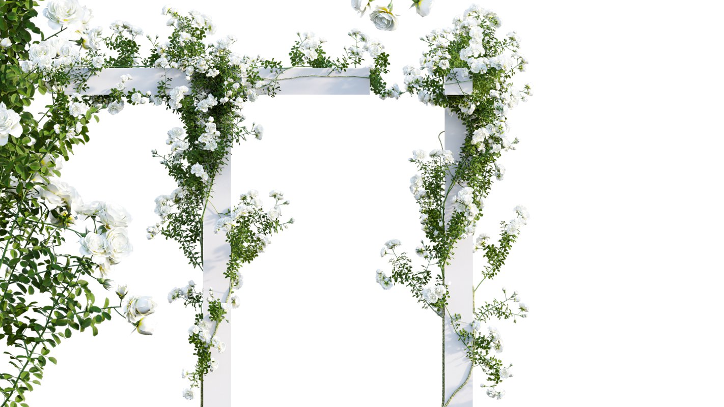 Collection 08 – Rose Garden - Image 20