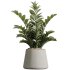 AV Indoor Plants Set 367 Japandi Decorative and Zamiifolia and Calathea Lutea and Dracaena Warneckii - Thumbnail 5