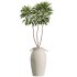 AV Indoor Plants Set 329 Euphorbia Drupifera and Spathiphyllum Lily and Monstera Deliciosa - Thumbnail 3