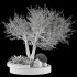 Bohemian Olive Tree Garden - Thumbnail 6