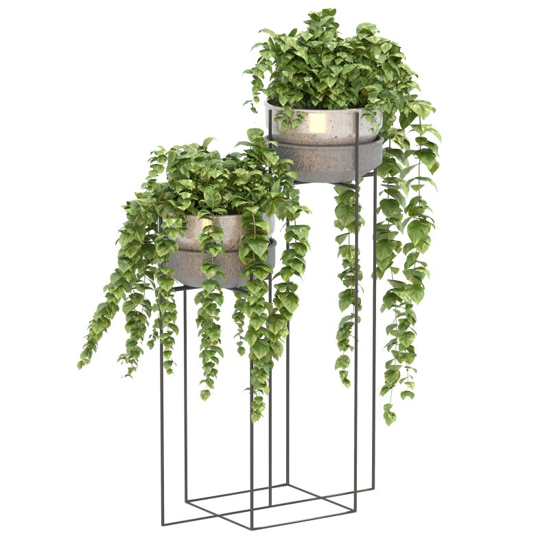 Metal Standing With Money Plant - Image 6