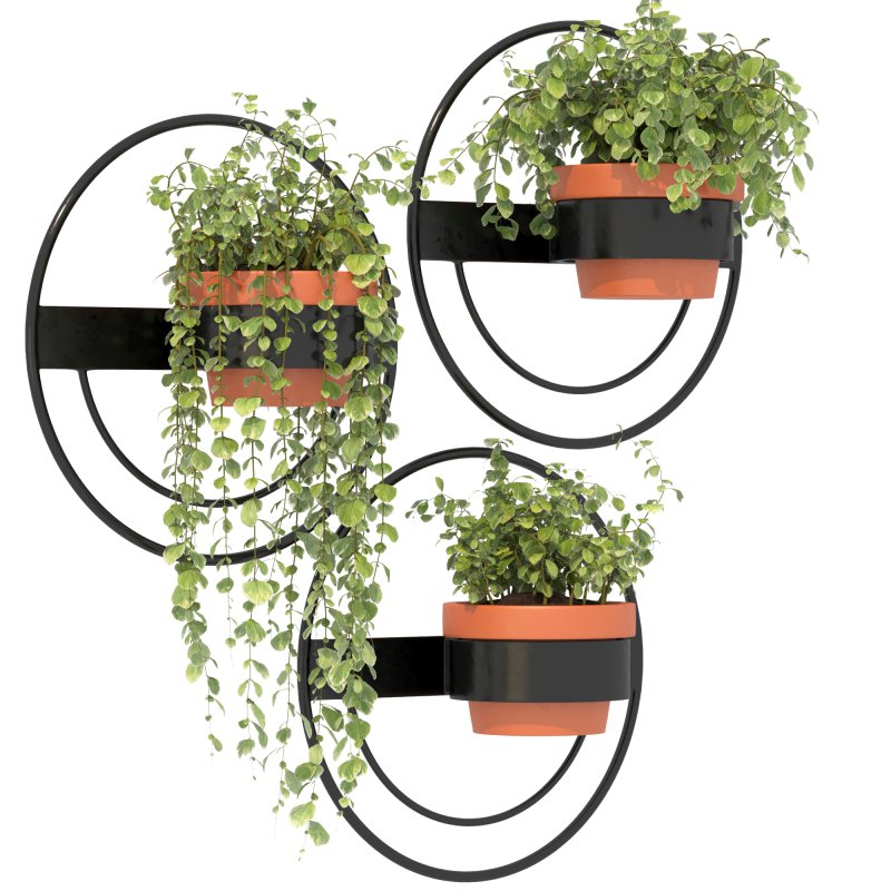 Modern Wall Planters With Geometric Designs - Image 1