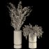 Branches with leaves in Glass Vase - Thumbnail 6