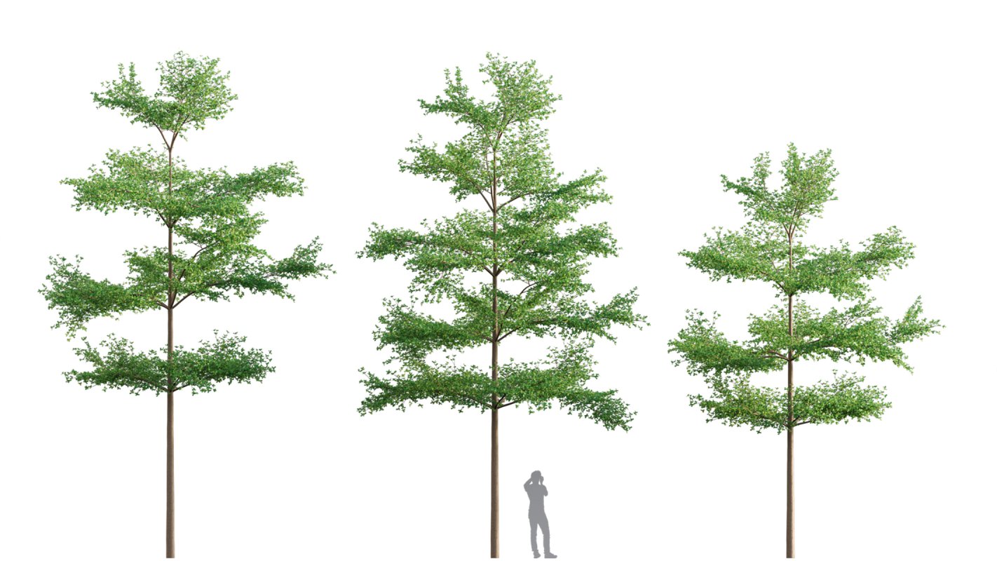 Collection 03 – Park - Image 13