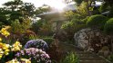 Collection 06 – Japanese Garden - Thumbnail 2