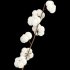 A Bouquet of Cotton - Thumbnail 4